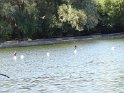 2016-10-06 16-07-44 Parc de la Courneuve DLe